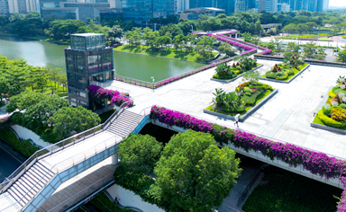 佛山物業城市項目時花采購及配套服務